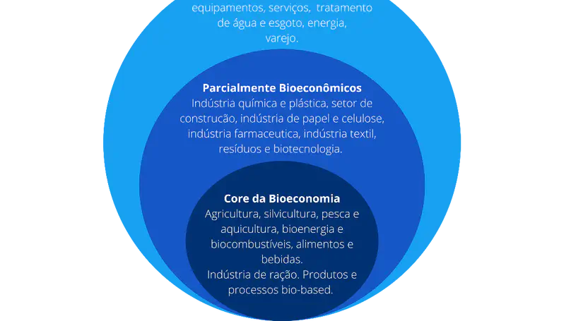 CADEIA DE VALOR DA BIOECONOMIA COMO ESTRATÉGIA DE DESENVOLVIMENTO ECONÔMICO
